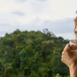 Mindful Living: How to Prioritize Mental Health in a Fast-Paced World