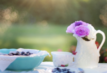 Empower Your Plate: Nutrient-Rich Recipes for a Balanced Diet