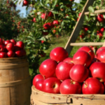 The Power of Positive Habits: Small Changes, Big Impact on Your Well-being