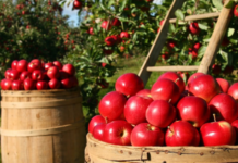 The Power of Positive Habits: Small Changes, Big Impact on Your Well-being