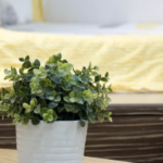 Intravenous Oxygen: A Voyager’s Manual for Club Oxygen’s Fantastic Objections